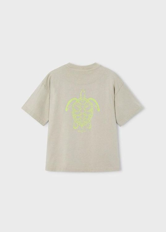 Boston flourescent s/s t shirt (6047/olive) - WeekendMode