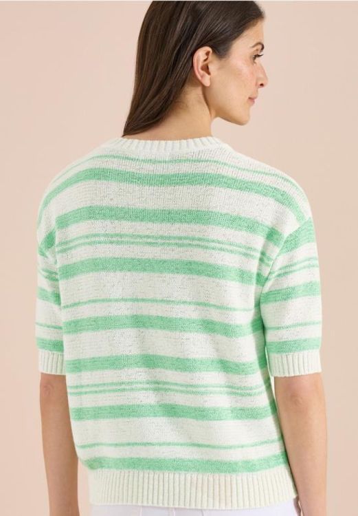 Cecil Striped tapeyarn pullover (05.303866/juicy lime) - WeekendMode