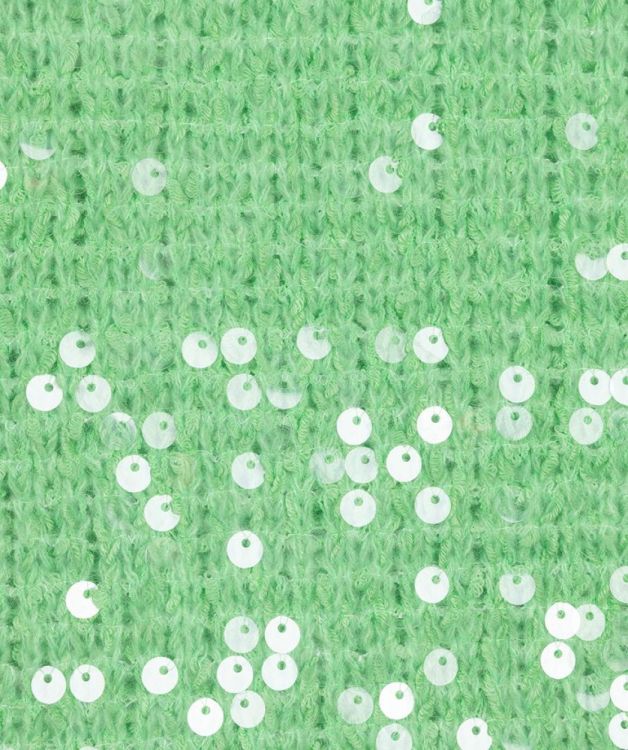 Esqualo Sweater s/slve sequins (SP25.02021/Green) - WeekendMode