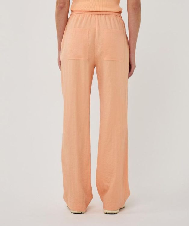 Esqualo Trousers elastic WB fine crinkle (SP26.10041/Bellini) - WeekendMode