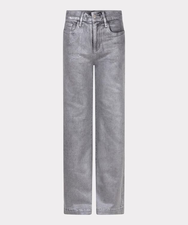 Esqualo Trousers straight metallic (F25.12507/Grey) - WeekendMode