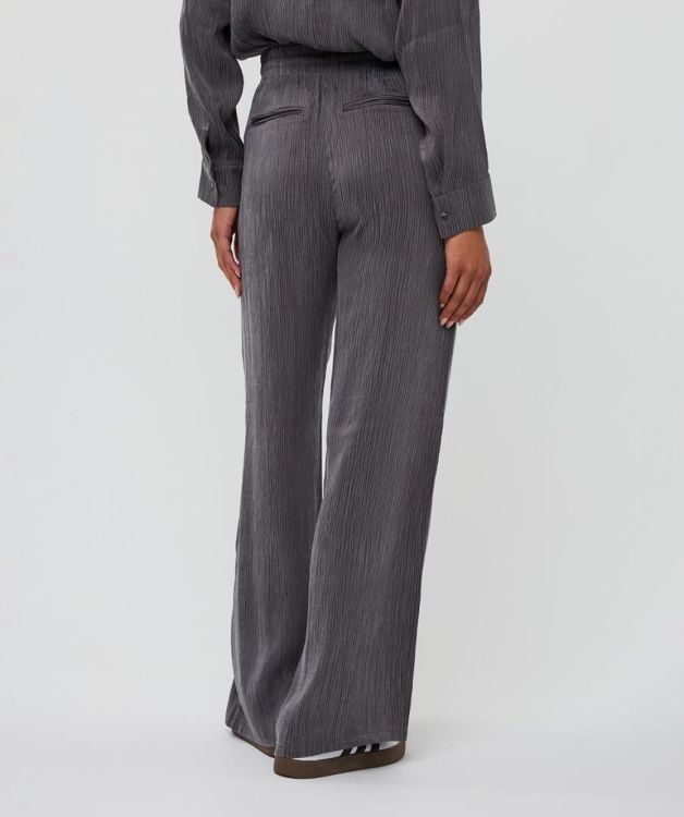 Esqualo Trousers wide crinkle cupro (F25.05519/Grey) - WeekendMode