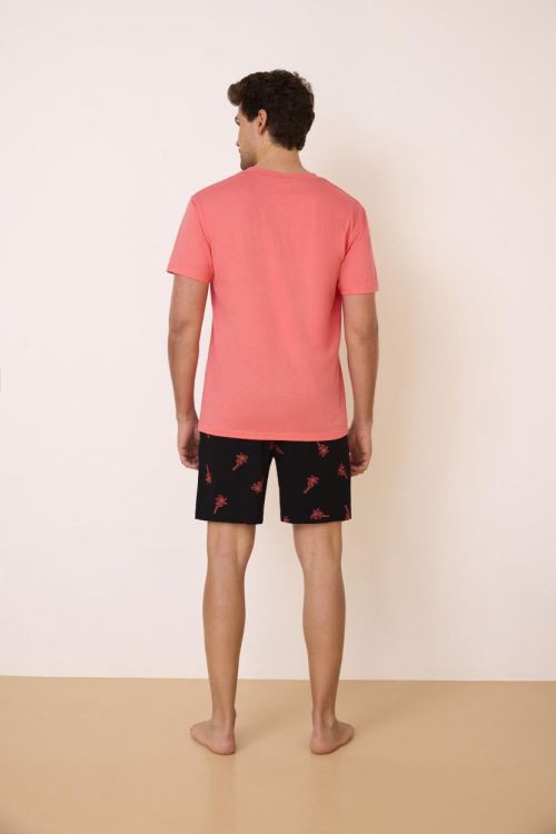 Feel Free Shortama (H34832/028) - WeekendMode