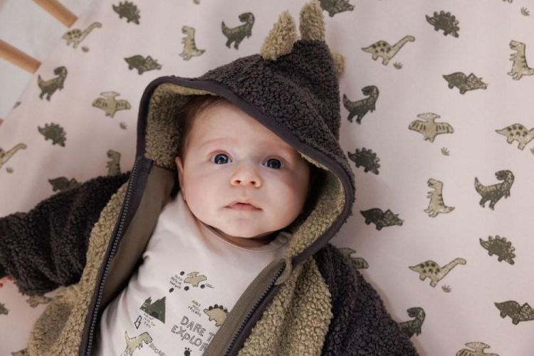 Feetje Bouclé jasje met capuchon - Rawrsome (51800354/Groen) - WeekendMode