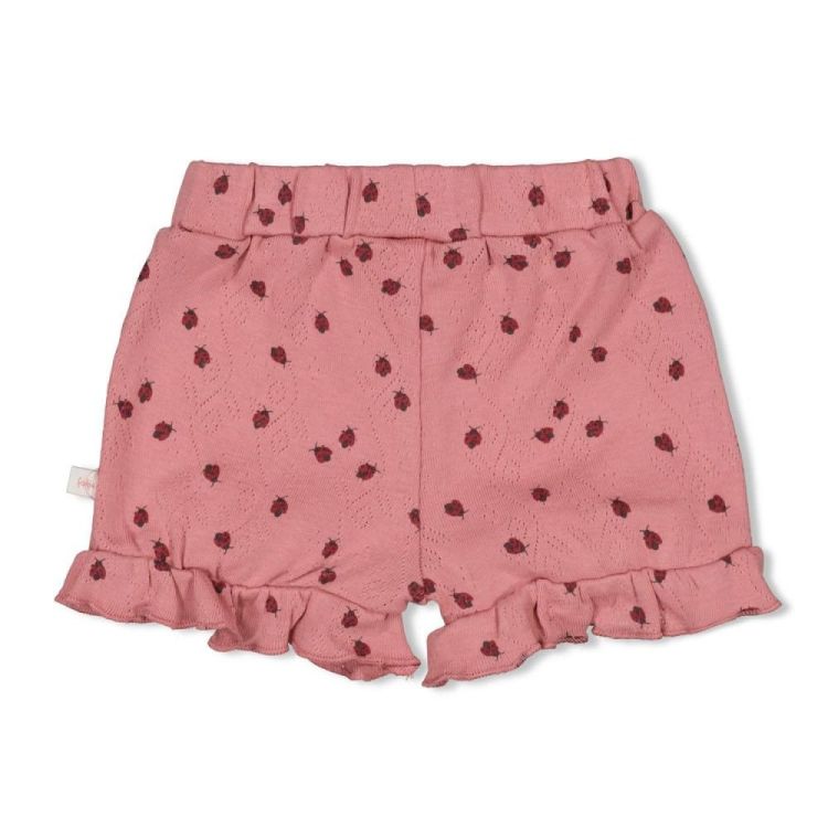 Feetje Short ajour rib AOP - Ladybug (52100458/Roze) - WeekendMode