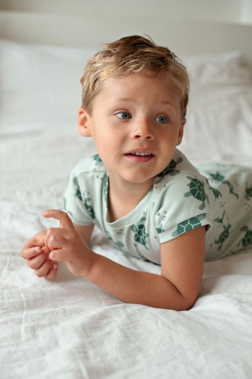 Feetje Shortama Timmy Turtle (505000911/Groen) - WeekendMode