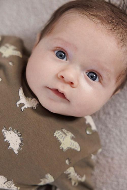 Feetje Sweater AOP - Rawrsome (51602614/Olijf) - WeekendMode