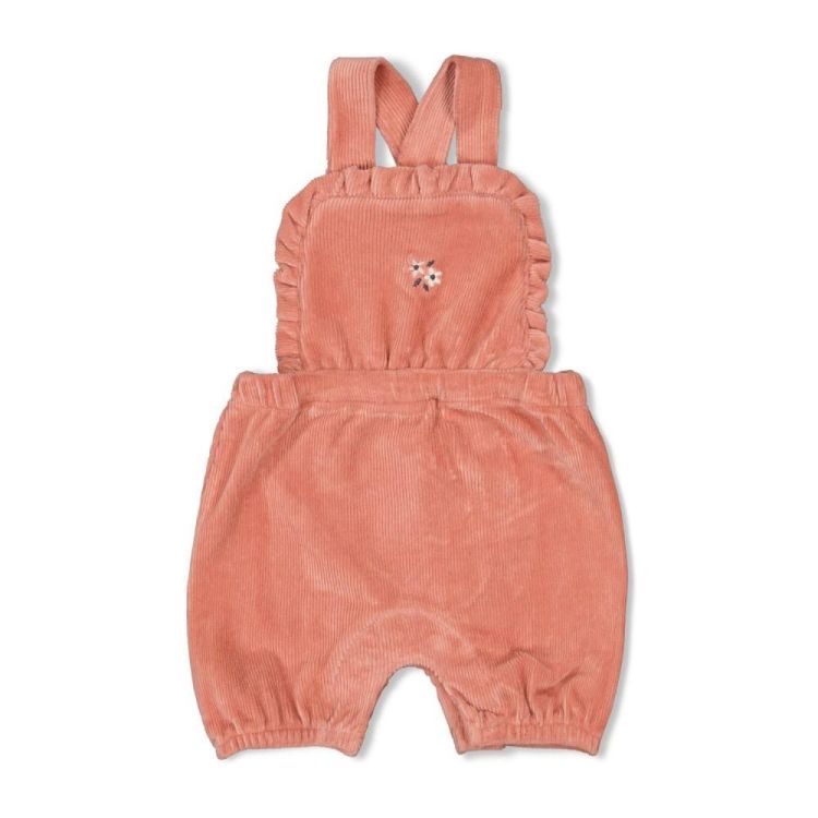 Feetje Tuinbroek kort velours rib - Woodland Bl (51100098/Mauve) - WeekendMode