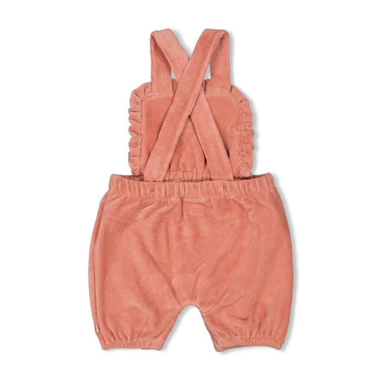 Feetje Tuinbroek kort velours rib - Woodland Bl (51100098/Mauve) - WeekendMode