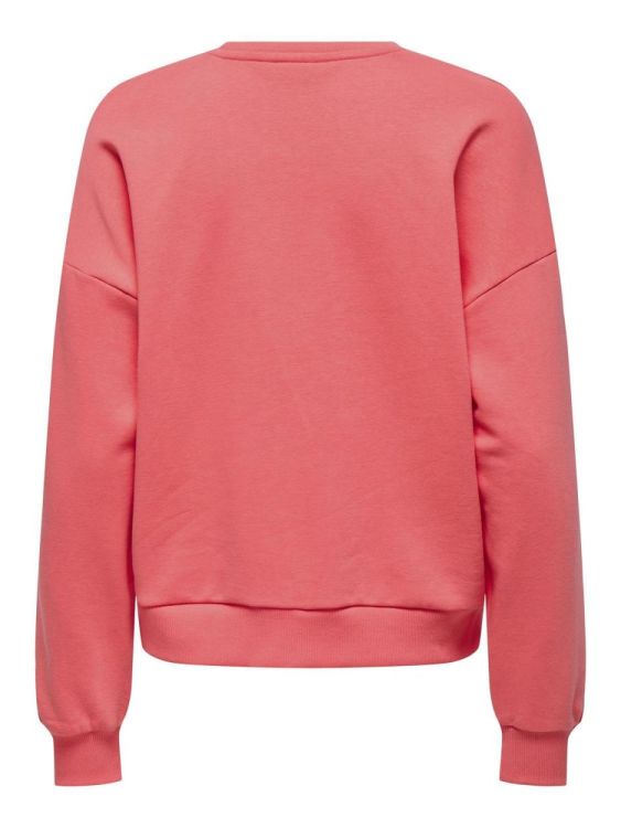 Only ONLJOANA L/S LEO O-NECK CS SWT (15339899/Dubarry Dreamer) - WeekendMode