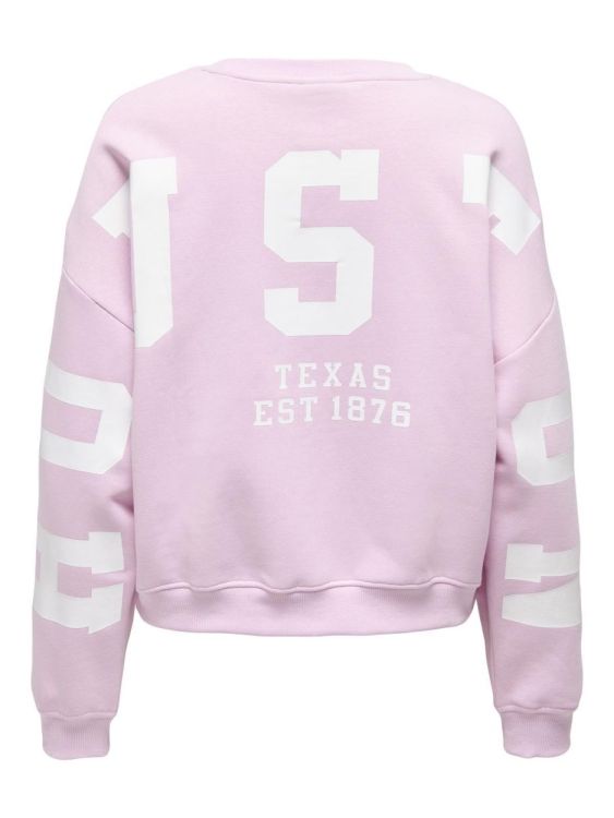 Only ONLSWEAT L/S BACK/SLEEVE PRINT SWT NOOS (15356793/Winsome Orchid BIRCH HOUSTON PR) - WeekendMode
