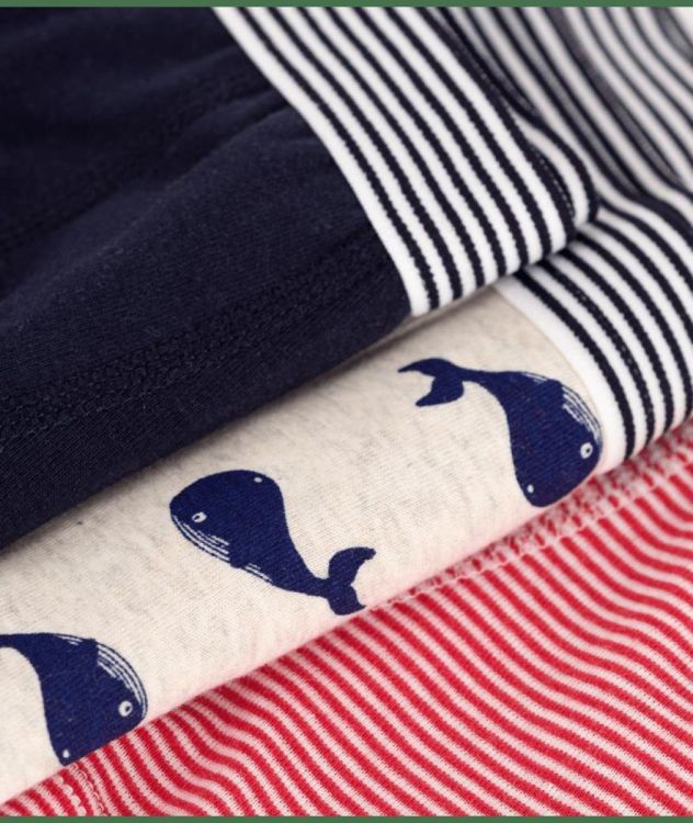 Petit Bateau 3 BOXERS (A0DAH/variante 1) - WeekendMode