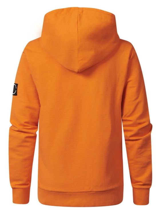 Petrol Industries Boys Sweater Hooded Print (B-1040-SWH306/2119) - WeekendMode