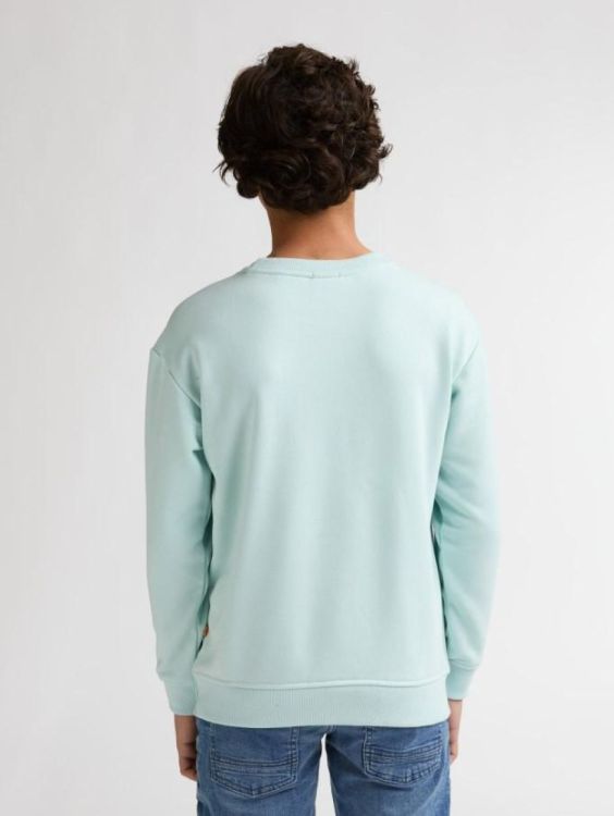 Petrol Industries Boys Sweater Round Neck (B-1060-SWR352/6181) - WeekendMode