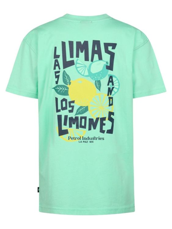 Petrol Industries Boys T-Shirt SS Classic Print (B-2060-TSR629/6182) - WeekendMode