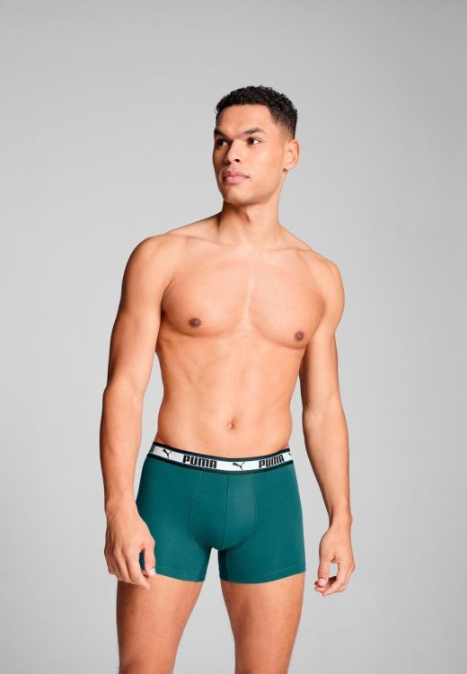 Puma PUMA MEN DUAL LOGO BOXER SEA GREEN (701228131/003) - WeekendMode