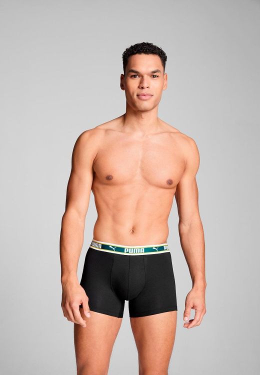 Puma PUMA MEN DUAL LOGO BOXER SEA GREEN (701228131/003) - WeekendMode