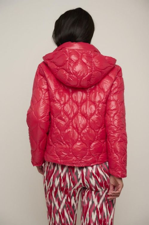 Rino&Pelle Padded jacket with detachable hood (Sarki.7002420/Salsa) - WeekendMode
