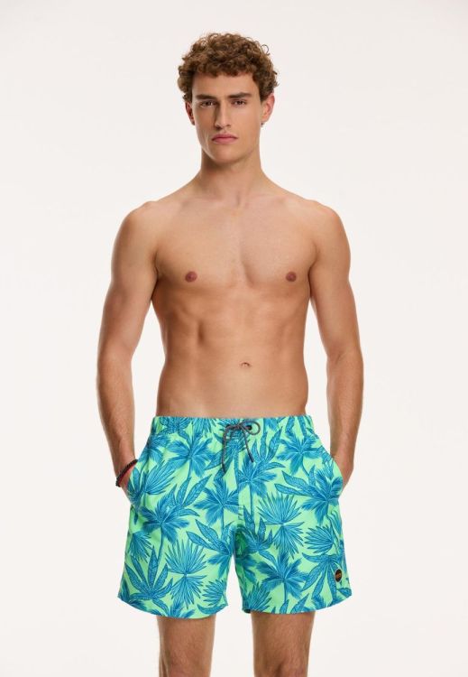 Shiwi men swim shorts palm leaves (1441110229/701) - WeekendMode