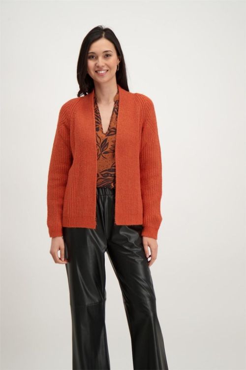 Signe Nature Cardigan (843061/44) - WeekendMode