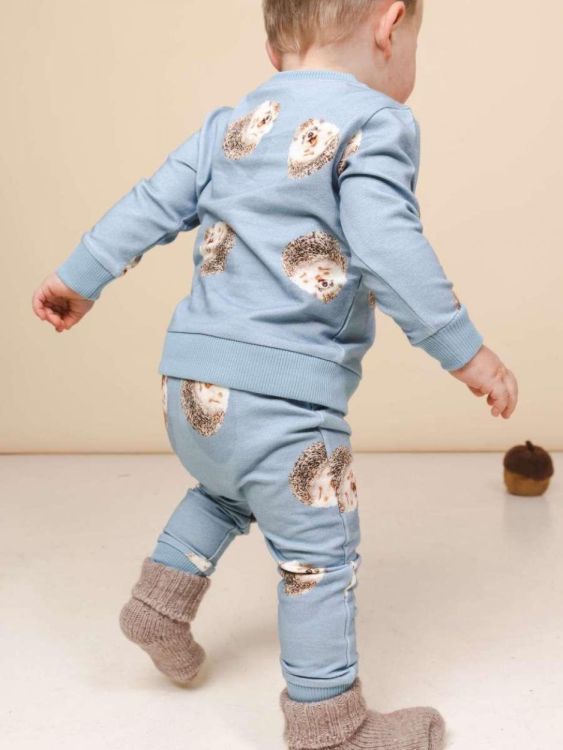 SNURK Hedgy Blue Pyjama Babies (Hedgy Blue Pyjama Babies /Blauw) - WeekendMode