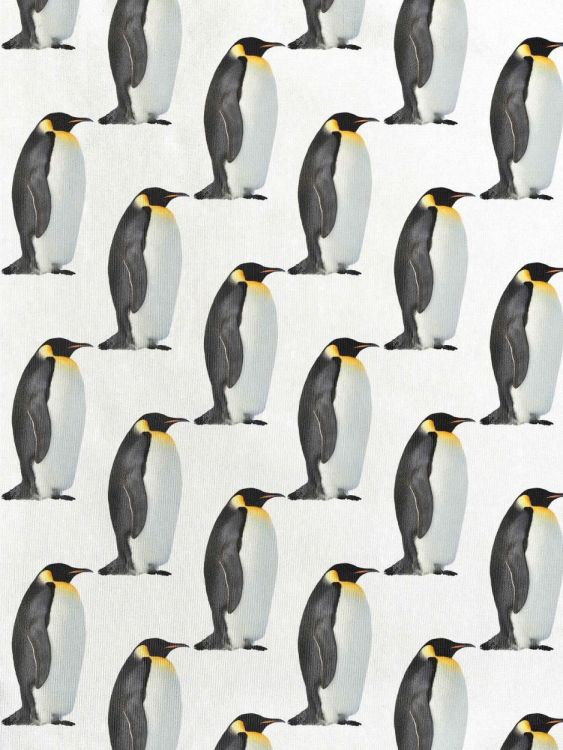 SNURK Penguin Pyjama Men (Penguin Pyjama Men/Wit) - WeekendMode