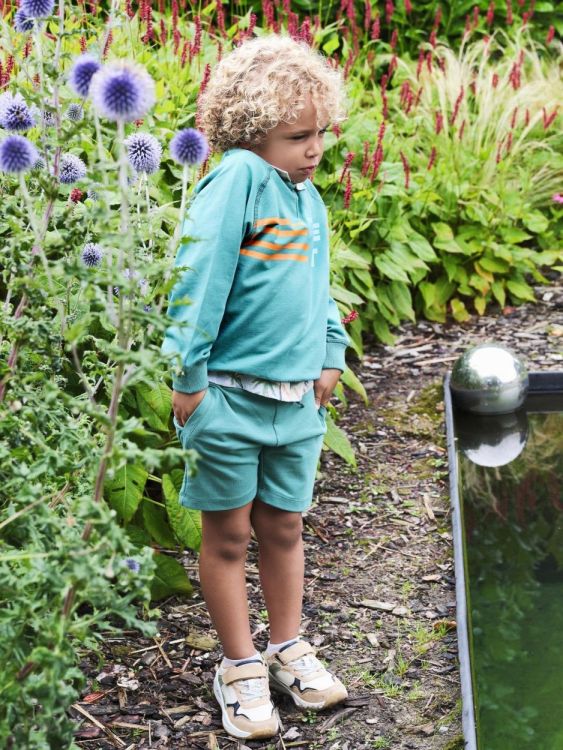 Someone Bermuda en short (BACKHAND-SB-34-A/MEDIUM GREEN) - WeekendMode