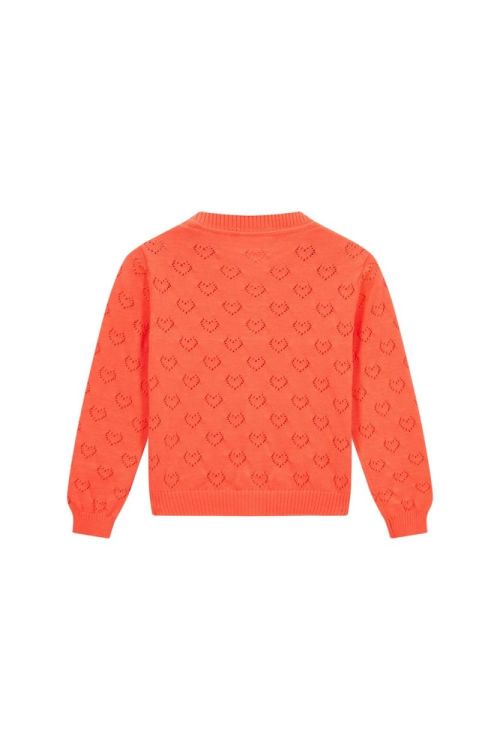 Someone Cardigan (JOLIEN-SG-15-A/FLUO CORAL) - WeekendMode