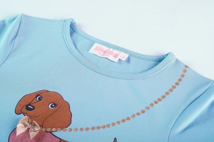 Someone T-Shirt Lange Mouwen (LIZANNE-SG-03-J/CLOUDY BLUE) - WeekendMode