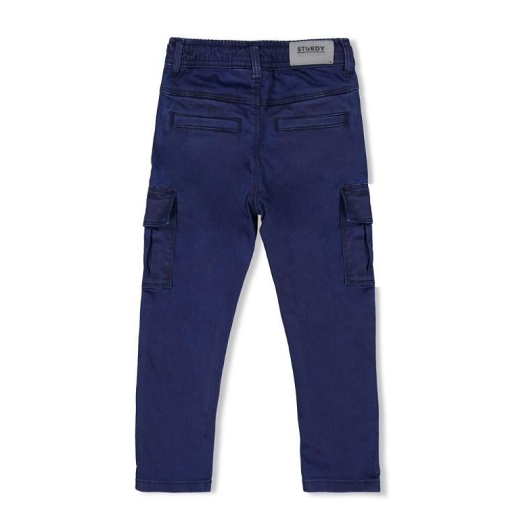 Sturdy Cargo broek - Waves and Whales (72200250/Marine) - WeekendMode