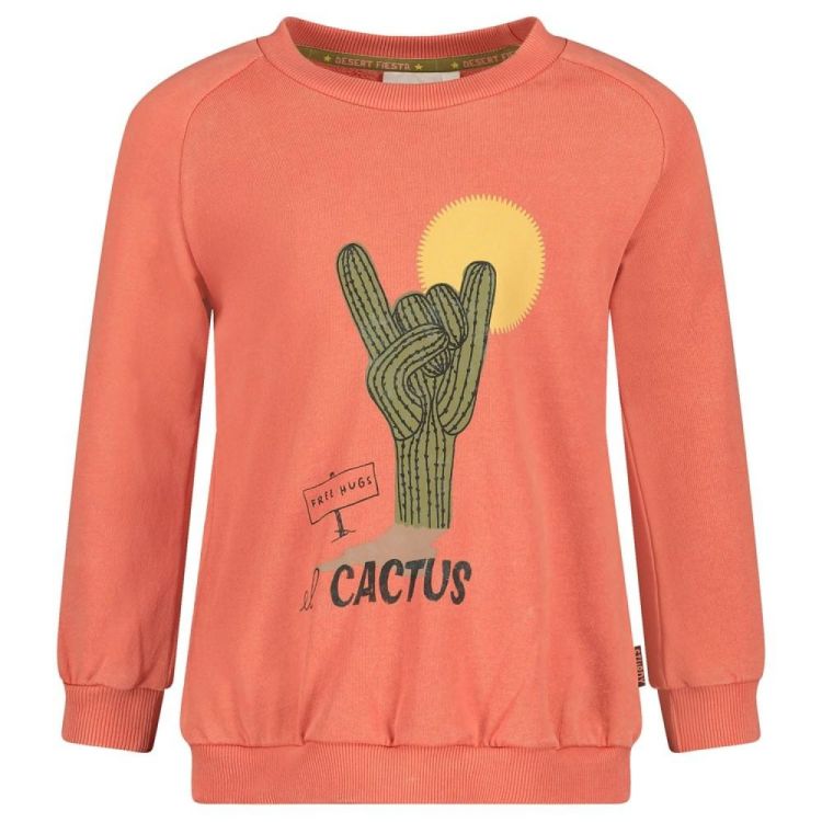 Sturdy Sweater - Desert Fiesta (71600653/Koraal) - WeekendMode