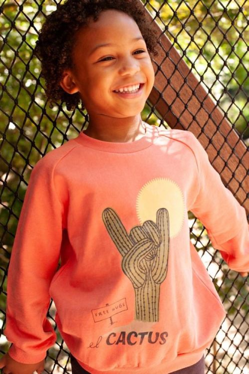 Sturdy Sweater - Desert Fiesta (71600653/Koraal) - WeekendMode