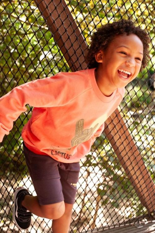 Sturdy Sweater - Desert Fiesta (71600653/Koraal) - WeekendMode