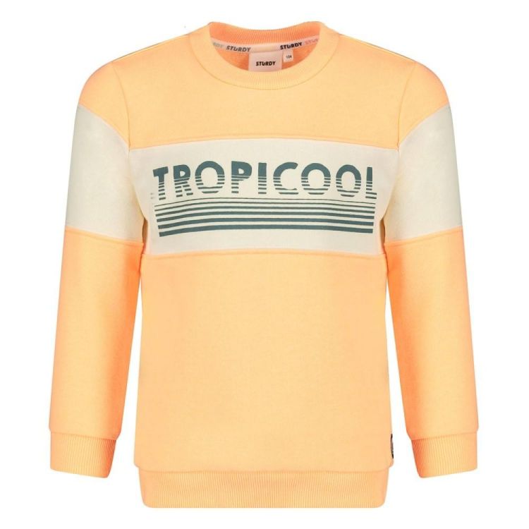 Sturdy Sweater - Lagoon Legends (71600654/Neon Oranje) - WeekendMode