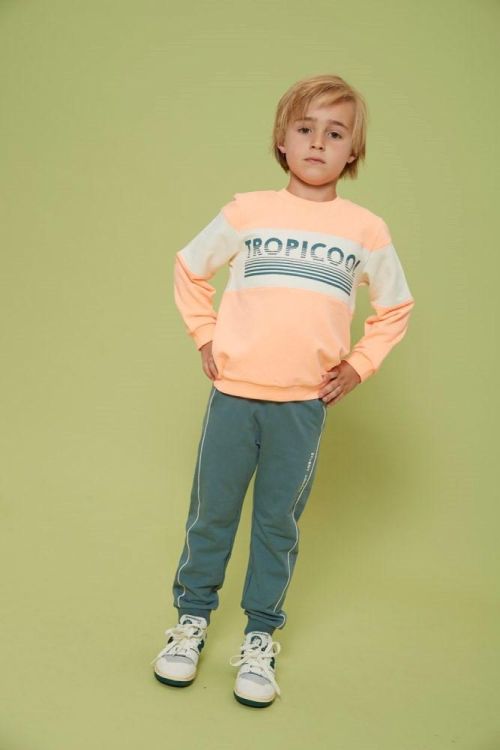 Sturdy Sweater - Lagoon Legends (71600654/Neon Oranje) - WeekendMode