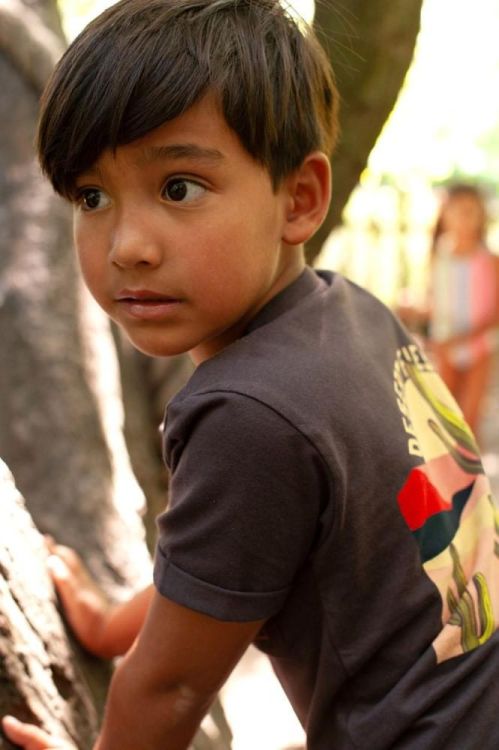 Sturdy T-shirt - Desert Fiesta (71700495/d.Bruin) - WeekendMode