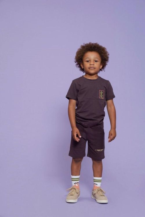 Sturdy T-shirt - Desert Fiesta (71700495/d.Bruin) - WeekendMode