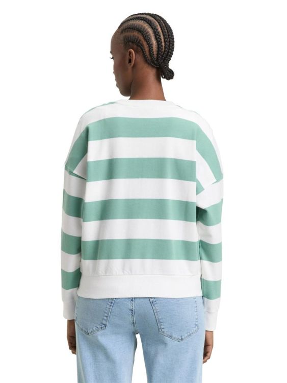 Tom Tailor Female Denim Crewneck Sweatshirt (1045508/40006) - WeekendMode