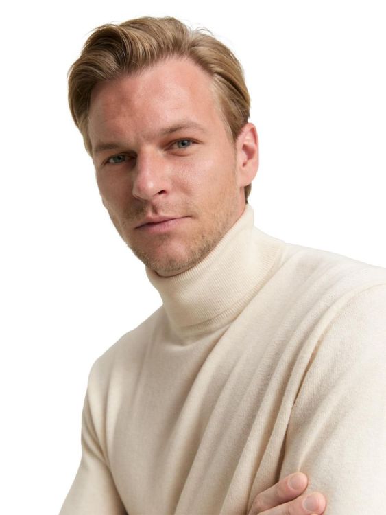 Tom Tailor Men Casual cotton cashmere turtleneck knit (1048017/38677) - WeekendMode
