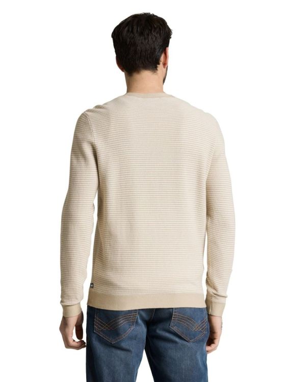 Tom Tailor Men Casual striped crew neck pullover (1050091/39561) - WeekendMode