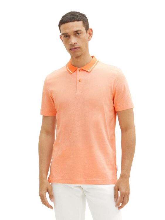 Tom Tailor Men Casual striped polo (1036437/31994) - WeekendMode