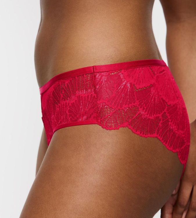 Triumph Palina Moonlight Kiss Hipster (10225626/00FZ) - WeekendMode